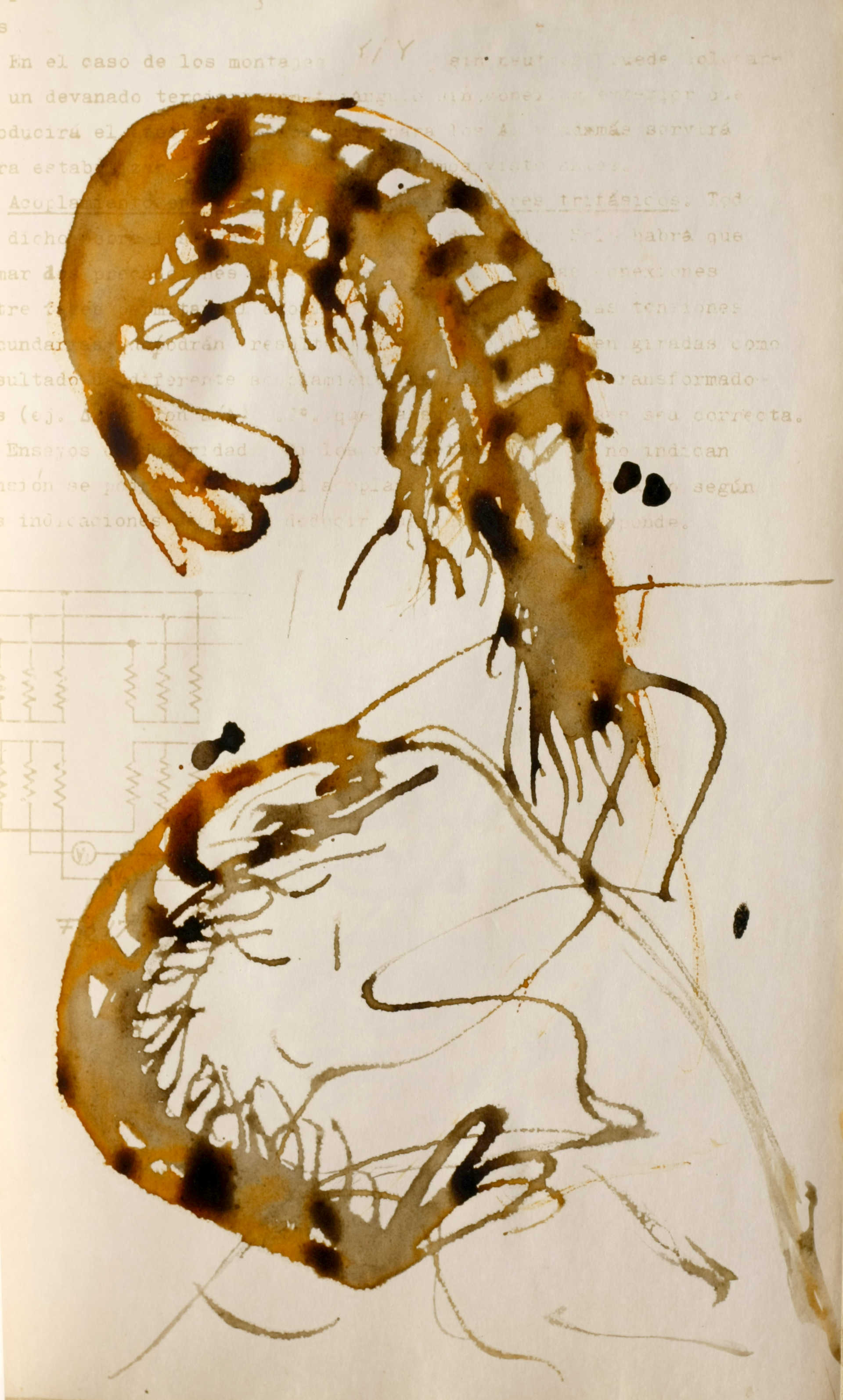 2013-05-27_11-45-06