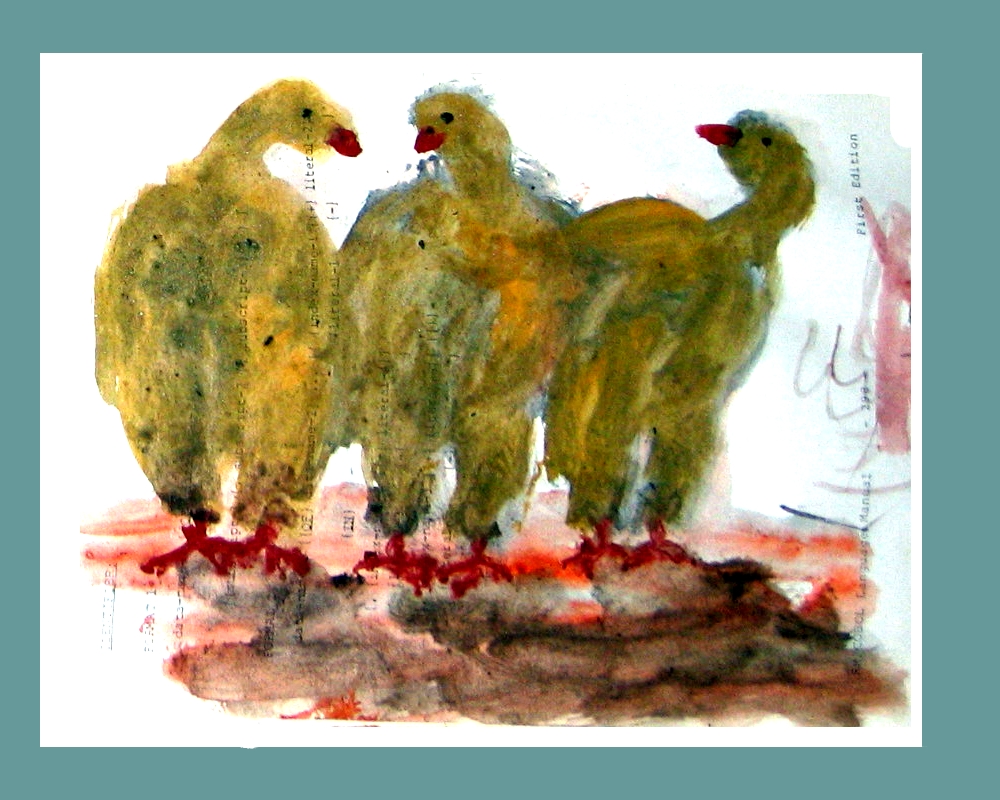 aves