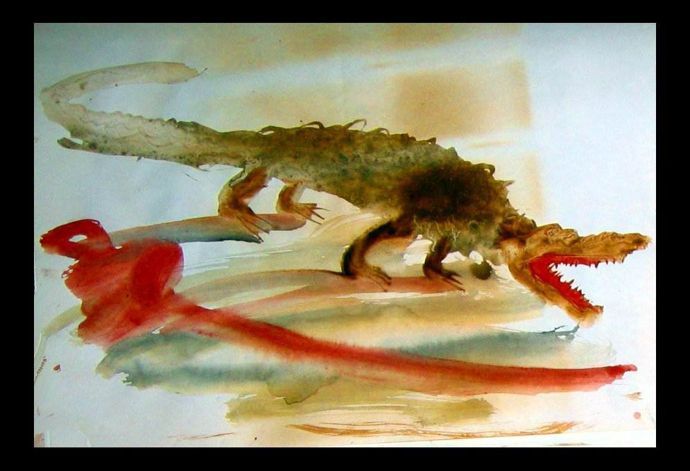 animal20