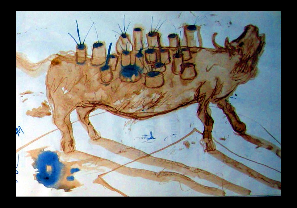 animal8