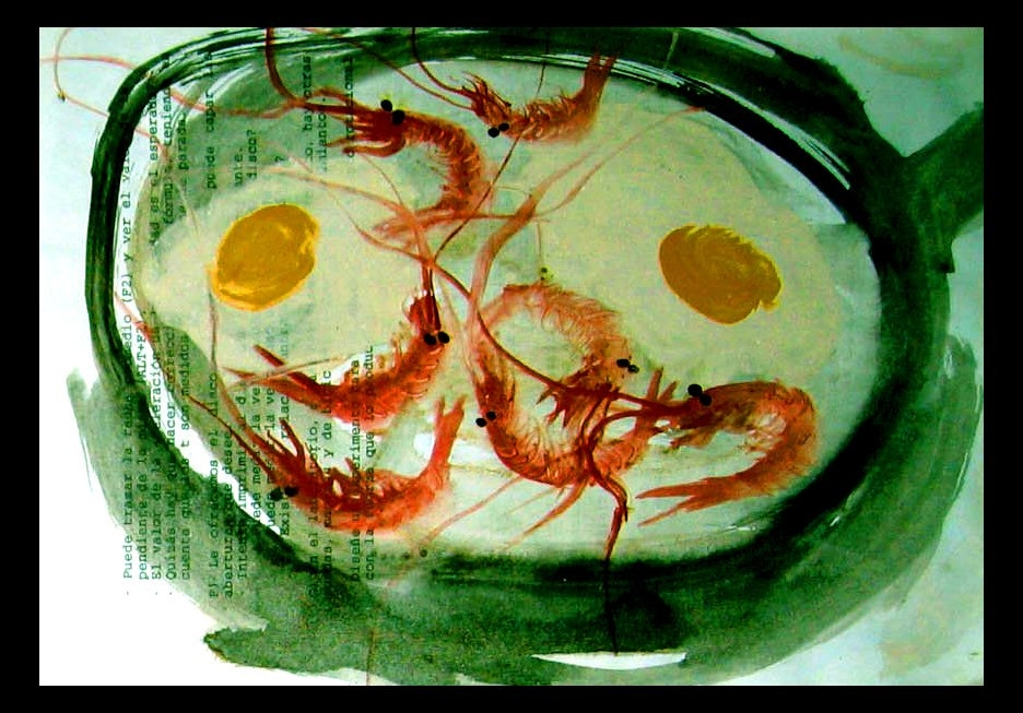 comida17