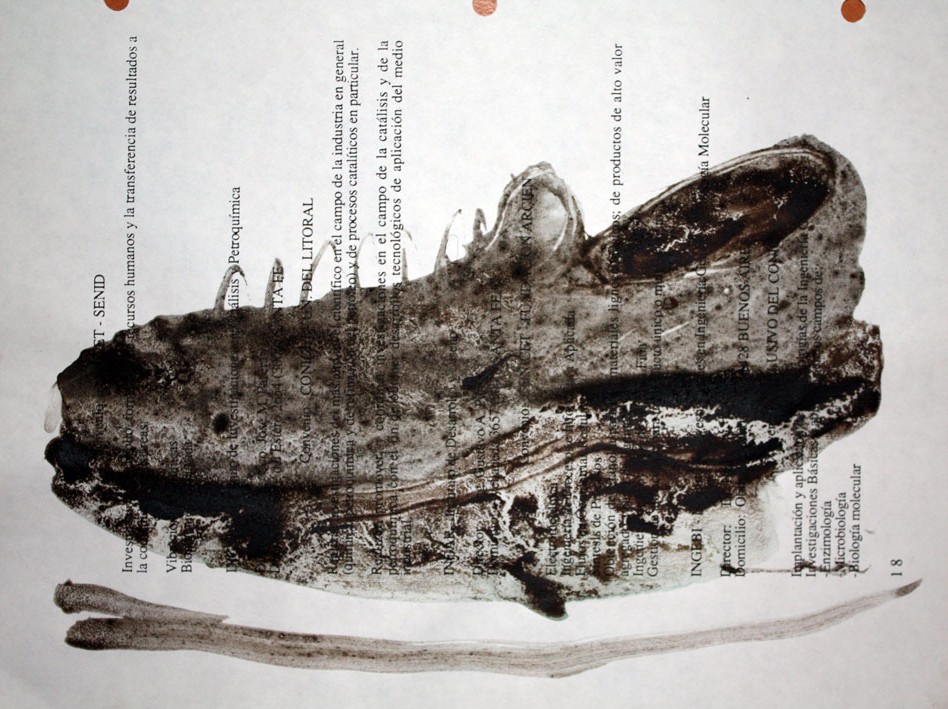 050