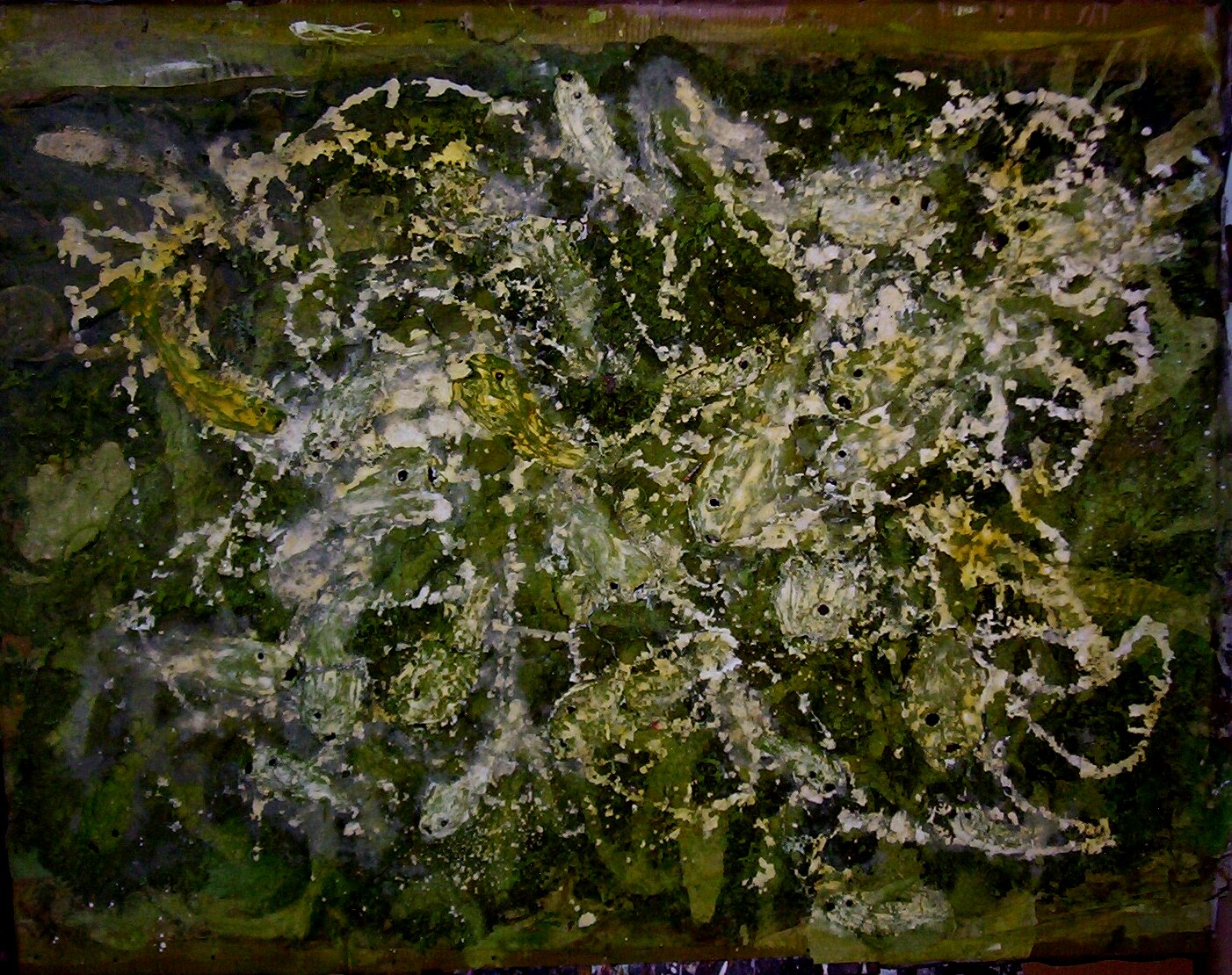 peces3